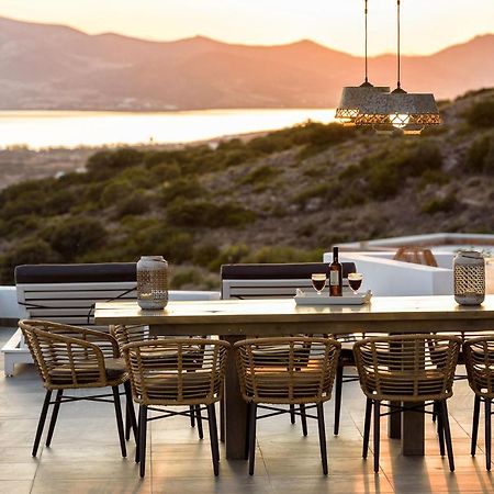 Paros Villa Blue Senses Alikí 外观 照片