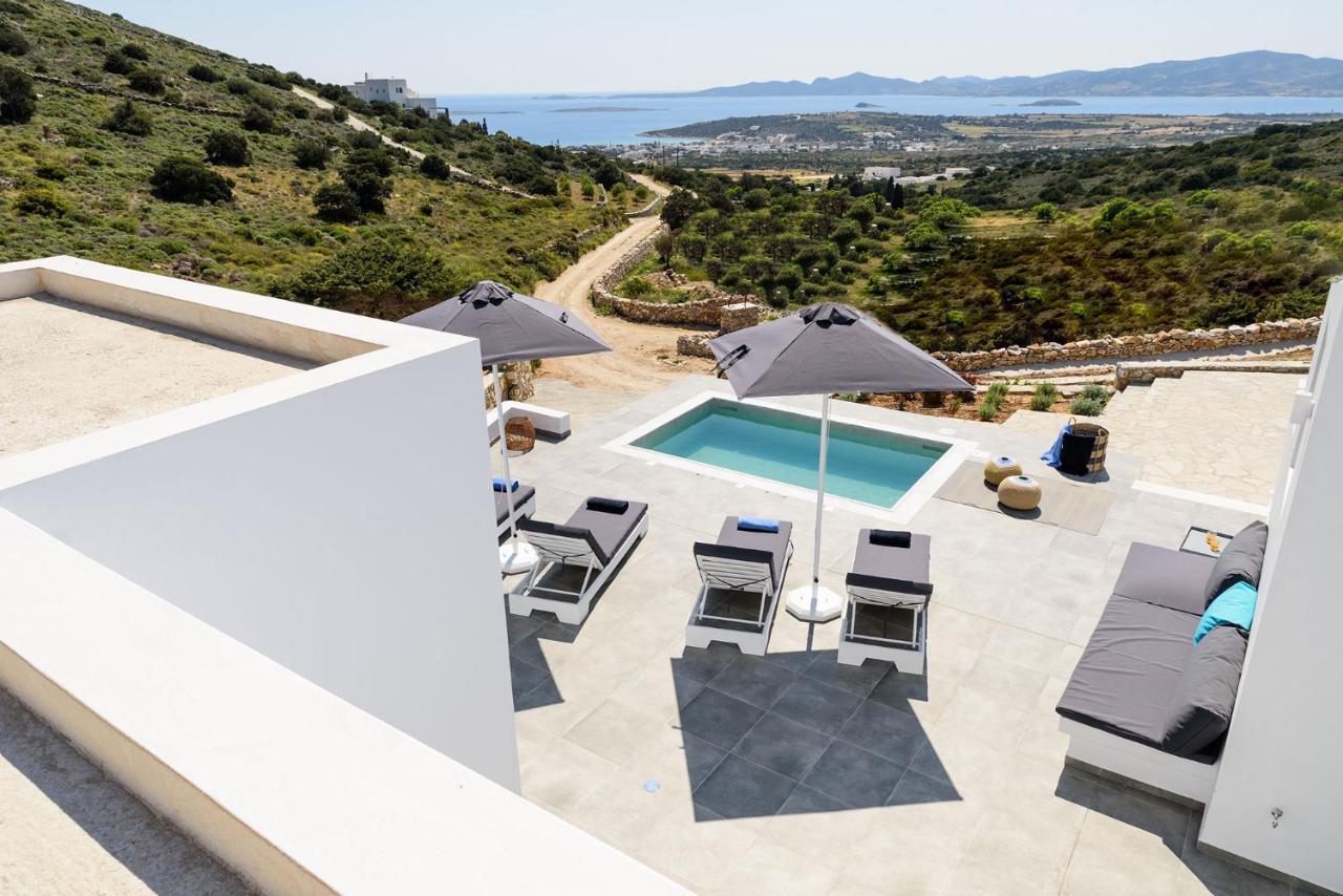 Paros Villa Blue Senses Alikí 外观 照片