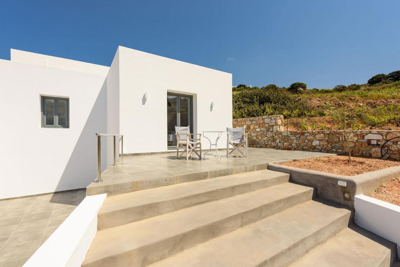 Paros Villa Blue Senses Alikí 外观 照片