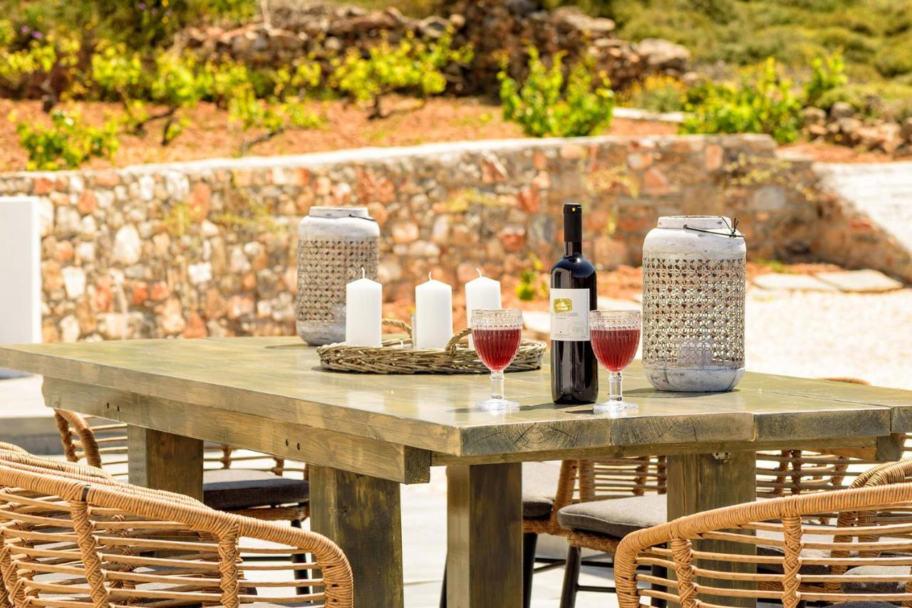 Paros Villa Blue Senses Alikí 外观 照片