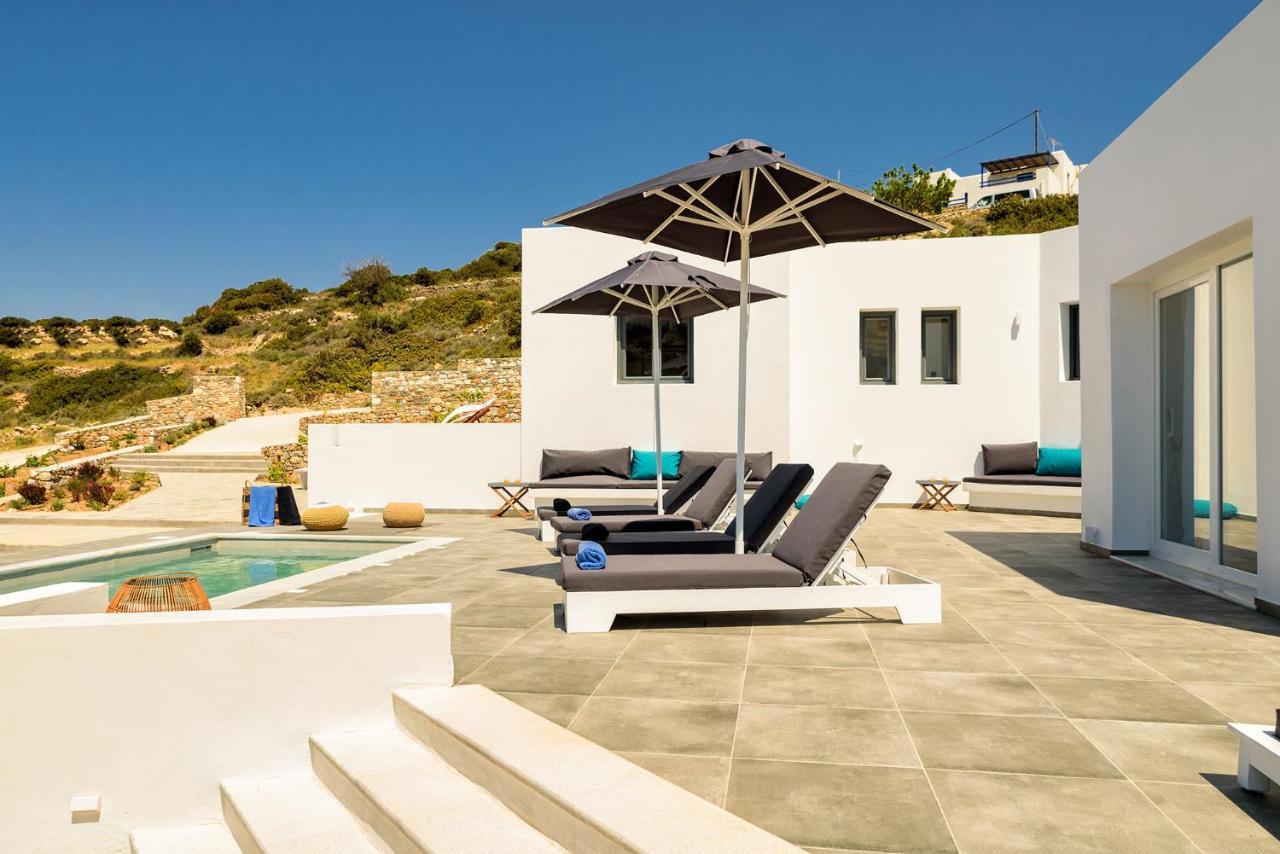 Paros Villa Blue Senses Alikí 外观 照片