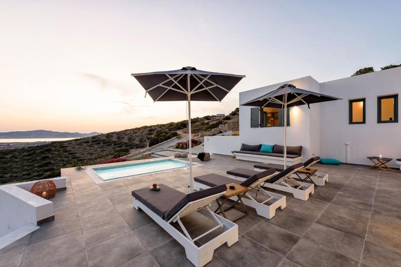 Paros Villa Blue Senses Alikí 外观 照片