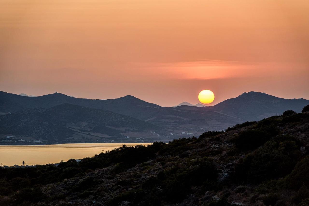 Paros Villa Blue Senses Alikí 外观 照片