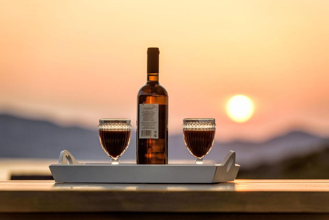 Paros Villa Blue Senses Alikí 外观 照片